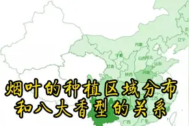 烟草的区域分布和八大香型