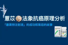 中药薏苡仁抗癌的原理分析——康莱特注射液背后的故事