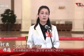 青海湖裸鲤资源量十年增长42倍视频封面
