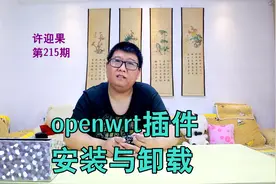 许迎果 第215期 openwrt软路由插件的安装与卸载视频封面