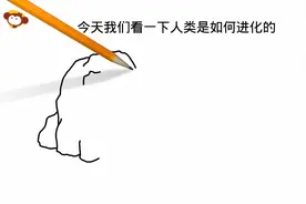 团团乐动漫：搞笑铅笔画 人类祖先是如何进化的