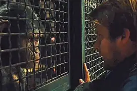 史上最大胆的实验，往猩猩体内注射超级基因，超越人从此猩球崛起视频封面