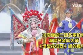 河南豫剧二团名家柏青演唱马金凤大师《樊梨花征西》唱的真不错