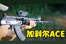 加利尔步枪最大改进型，ACE突击步枪，单从外观看完全是两种枪