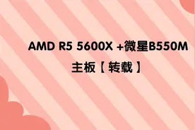 AMD R5 5600X +微星B550M主板【转载】
