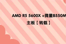 AMD R5 5600X +微星B550M主板【转载】