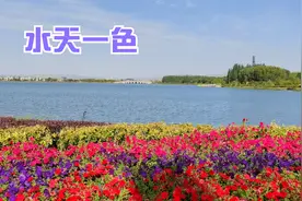 4A级景区：张掖芦水湾旅游度假区视频封面