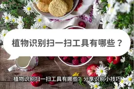植物识别扫一扫工具有哪些？分享识别小技巧视频封面