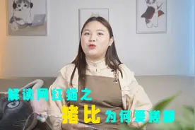 猪比搓脚的视频是不是有一种魔力？视频封面