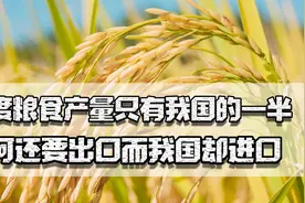 印度耕地多于我国，粮食产量是我国一半，为何还出口而我国却进口视频封面