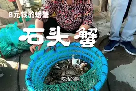 吃了太多石头蟹，8块钱一斤都不想买视频封面