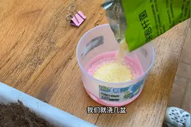 枯草芽孢杆菌怎么使用，这也太简单了，您用对了吗？视频封面