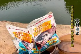 天元邓刚浮钓鲢鳙对比测试来了，使用新版空军的来看看测试效果！视频封面
