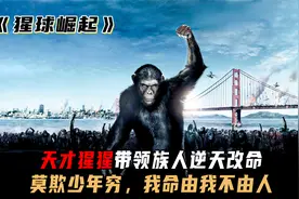 天才猩猩带领族人逆天改命，我命由我不由人！励志片《猩球崛起》视频封面