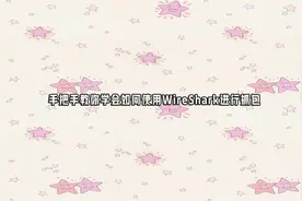 手把手教你学会如何使用WireShark进行抓包【转载】视频封面