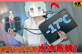 官方改装？给游戏本上水冷，超低噪音满性能！机械师星辰17评测视频封面