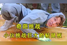 小伙挑战从巨大的粘鼠板上跑过去，谁能跑过去就能赢到奖金视频封面