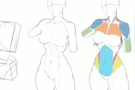 画本子必须要掌握的人体结构，你学会了多少？视频封面