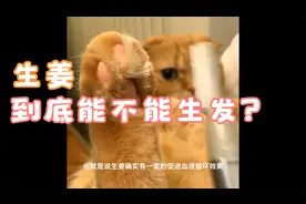 生姜到底能不能生发？#春日打卡计划