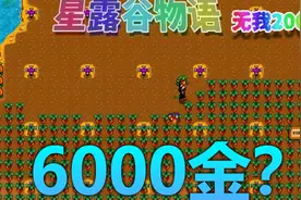 【星露谷物语】宝石甜莓流收益分析视频封面