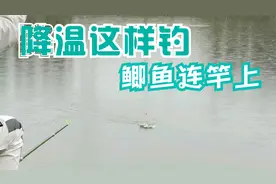 降温天气垂钓降水野河，钓友空军收竿，小伙这样钓鳊鱼鲫鱼连连上