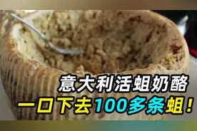 世界上最危险的奶酪，一口下去100多条蛆虫，你敢吃吗？视频封面