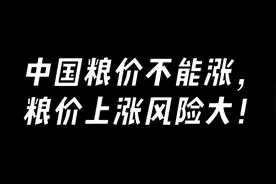 袁隆平：中国粮食不够吃，农民不种地就麻烦！(二)视频封面