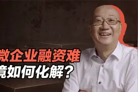 冯仑：小微企业融资难的困境如何化解？视频封面