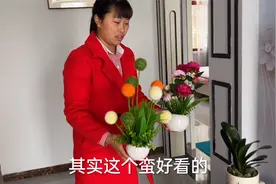 听说家里不能放假花，梅姐赶紧把客厅的假花撤掉，真有这种说法吗视频封面