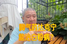 脚气药“达克宁”能治绣球花的“白粉病”吗？花友经验分析