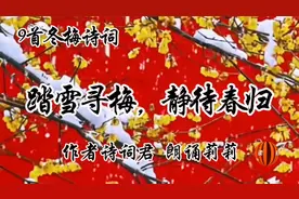 莉莉诵读《九首冬梅诗词：踏雪寻梅，静待春归》视频封面