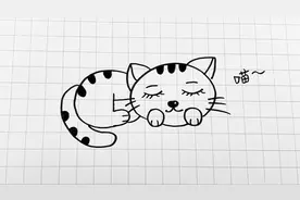 用数字500画一只萌萌的小猫咪，简单又可爱！视频封面