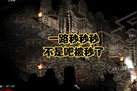 暗黑2我堂堂火系大魔导师居然叫我玩辅助，恩真香视频封面