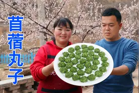 春天地里的野菜“苜蓿”，霞姐摘回来做苜蓿丸子吃，QQ弹弹看馋了视频封面