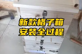 中蜂格子箱安装视频，懒人新手都能养好蜂