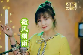 【中国歌谣】台湾校园民谣《微风细雨》，经典好听，原唱刘蓝溪！视频封面