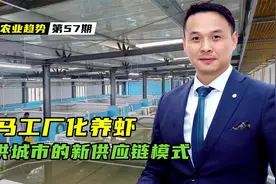 未来农业新模式出现：盒马开始搞工厂化养虾+产地直供新零售模式视频封面