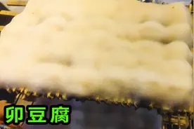 买来的毛豆腐居然二次长毛了？这还能吃吗？视频封面
