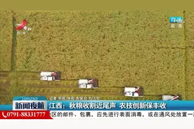 江西：秋粮收割近尾声 农技创新保丰收视频封面