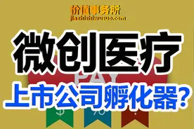 极其神奇的公司，微创医疗，一个专门生产上市公司的上市公司视频封面