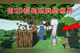 我的世界：教你如何使用2D视角玩mc，在任何地图都可以使用！