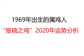 1969年出生的属鸡人（虚岁52）——“报晓之鸡”2020年运势分析视频封面