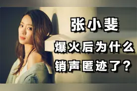 张小斐爆火后为什么销声匿迹了？视频封面