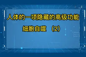 16小时断食法，细胞自噬，人体的一项隐藏的高级功能。视频封面