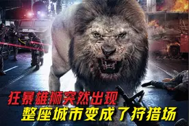 一只狂暴凶狮突然出现，整座城市变成了狩猎场！视频封面