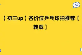 【初三up】各价位乒乓球拍推荐【转载】