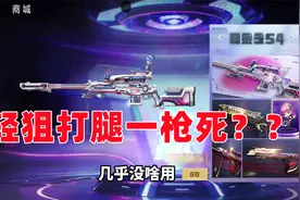体验服新版本爆料，武器战力系统上线！视频封面