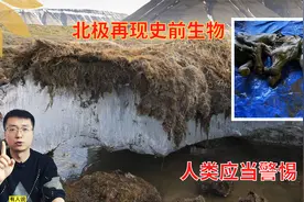 人类应当警惕？北极再现史前生物，4万年前的动物尸体暴露出来视频封面