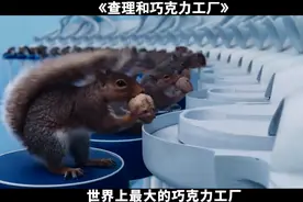 奇幻片：世界上最大的巧克力工厂，雇佣松鼠来剥坚果只给它核桃吃视频封面