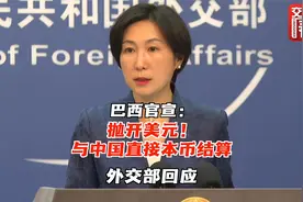 不再使用美元！巴西宣布使用本币同中国进行贸易结算 外交部回应视频封面